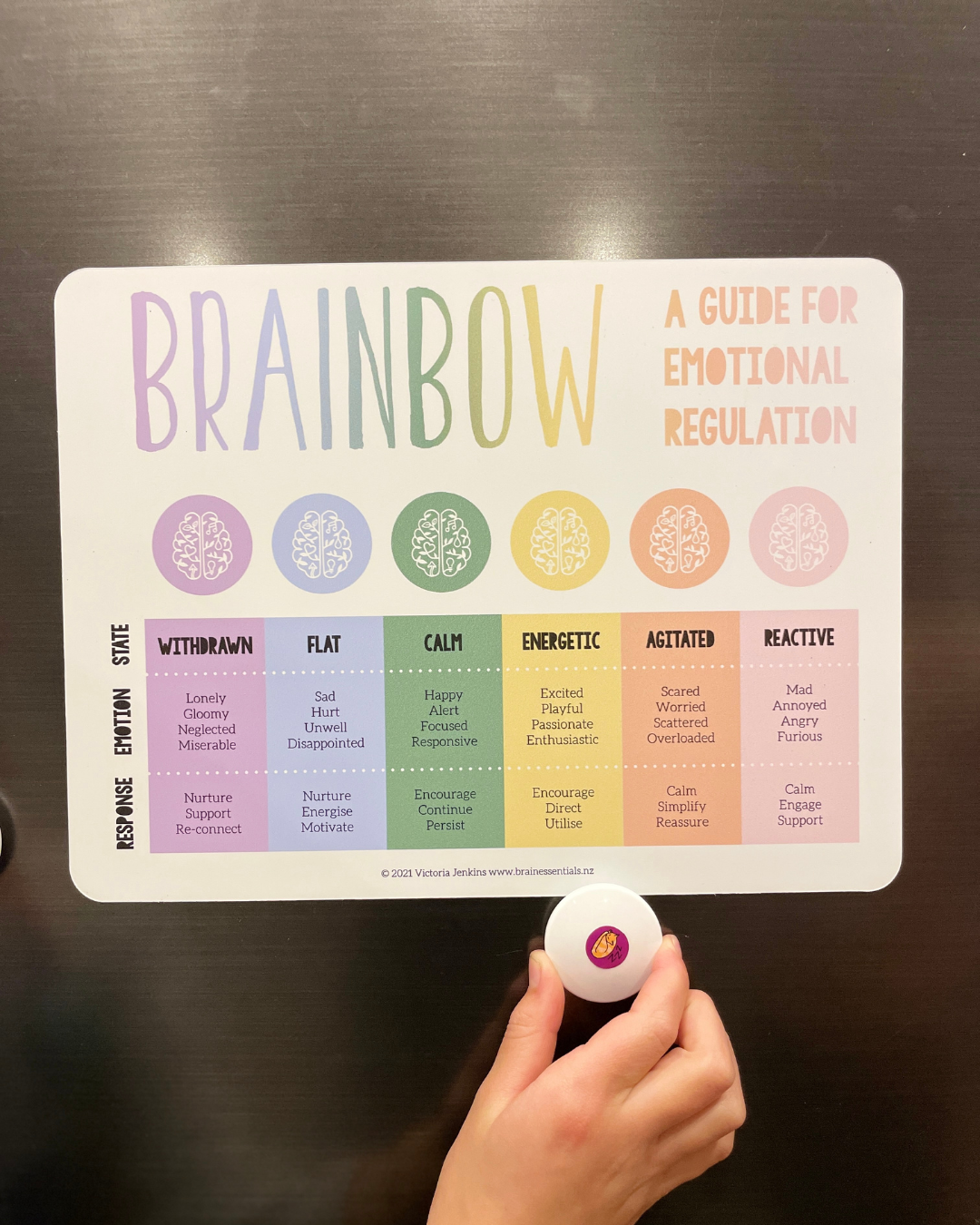 Brainbow Magnet