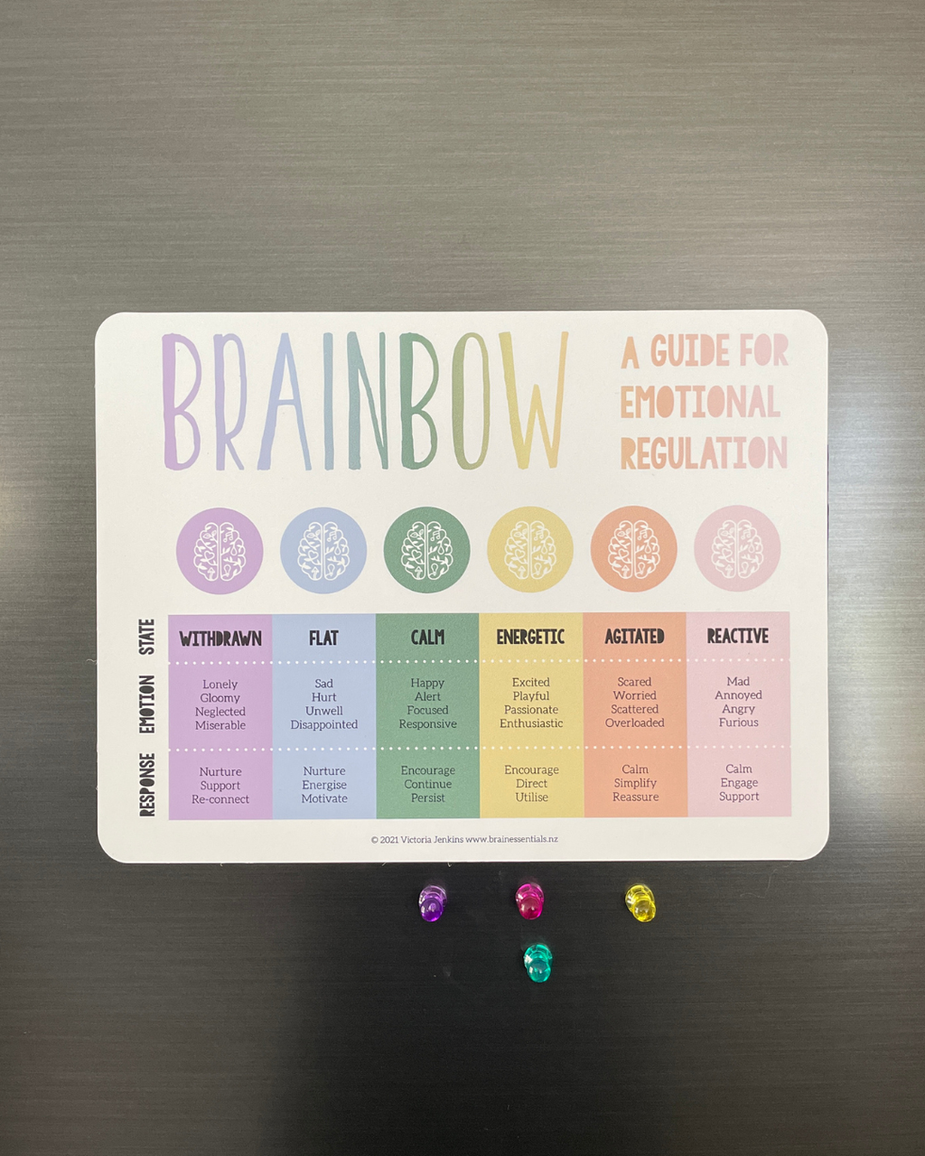 Brainbow Magnet